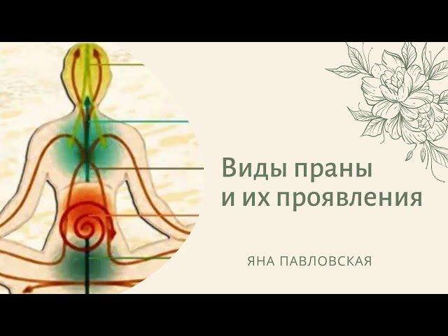 Виды праны: Прана, Удана, Вьяна, Самана, Апана - их значение и проявление | Яна Павловская