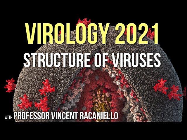 Virology Lectures 2021 #4 - Structure of Viruses