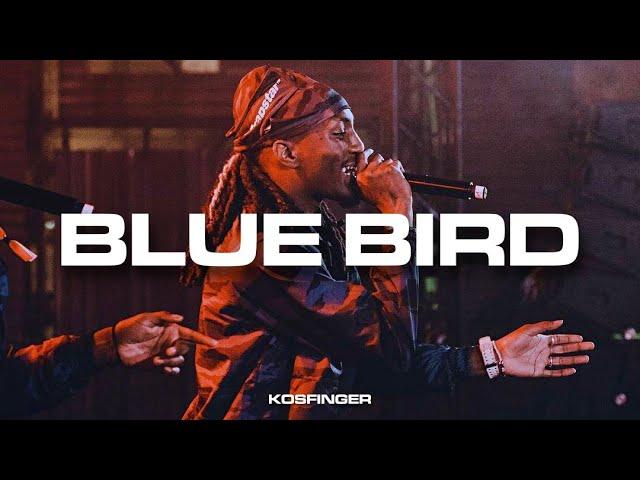 [FREE] Kay Flock x B Lovee x Anime Drill Sample Type Beat 2022 - "Blue Bird"