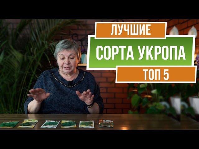 ТОП 5 Сортов Укропа ️ Выбираем семена укропа