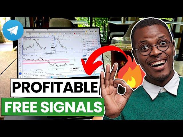 I Tested the BEST Free Forex Signal Telegram Group in August 2023