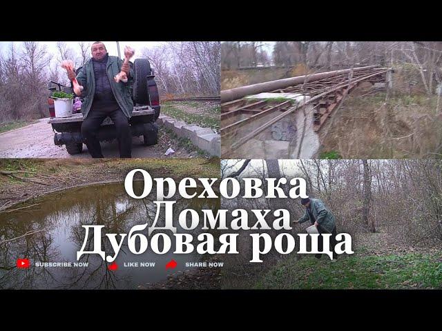 Домаха. оз.ОРЕХОВКА. Верба-6 метров. Рыбалка. Высадка деревьев. 8 дек 24г. Запорожье.