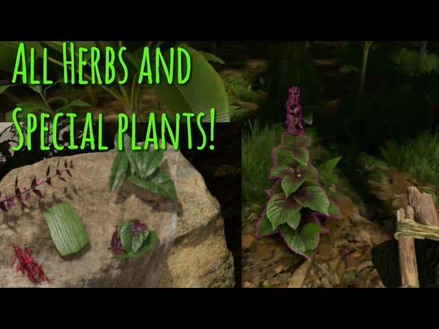 All Herbs & Special Plants + Their Uses | Green Hell