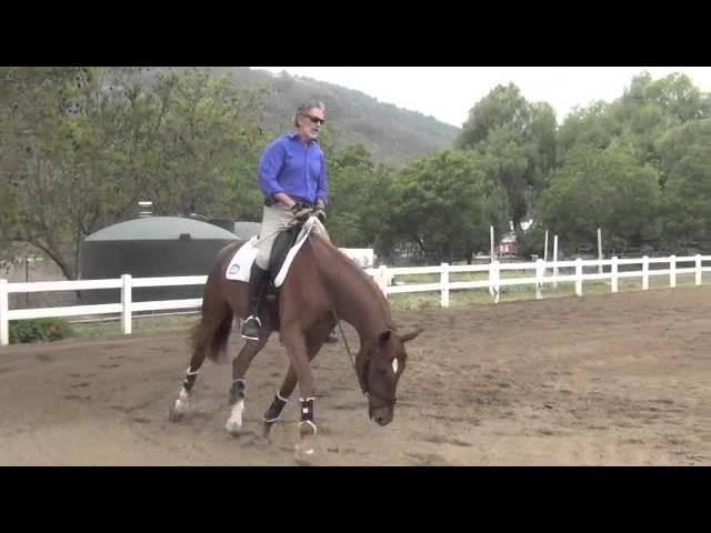 Schooling The Young Horse 1: Will and Feugo