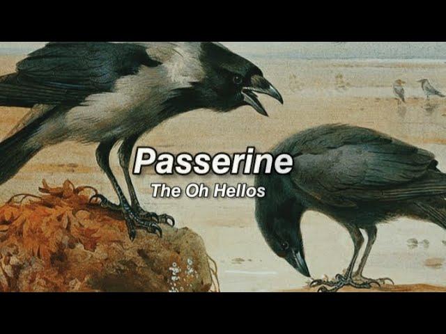 Passerine - The Oh Hellos (legendado pt-br)