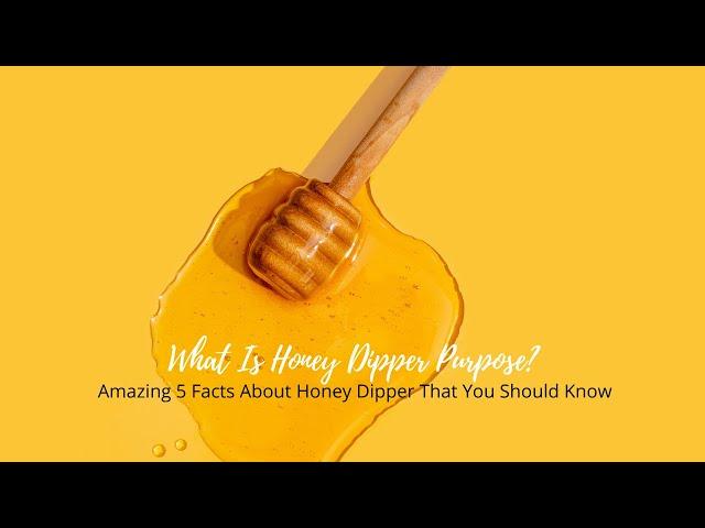 What Is Honey Dipper Purpose? Amazing 5 Facts About Honey Dipper That You Should Know