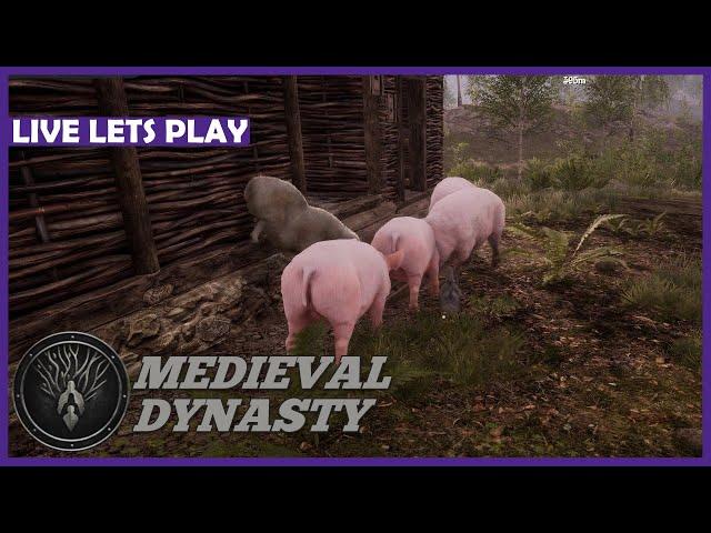 MEDIEVAL DYNASTY ️ RIESIGE Feldwörtschaft! | LIVE LETS PLAY | #066