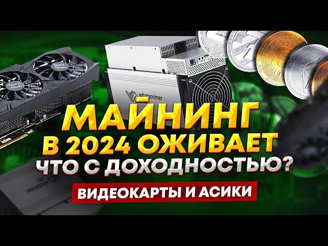 Майнинг в 2024 оживает! Что с доходность? На чем удалось заработать, доход от майнинга в 2024 году