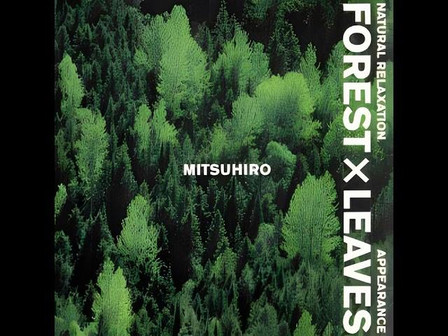 Mitsuhiro (光氷櫓) - Forest x Leaves (森と緑), 1995 (Album)