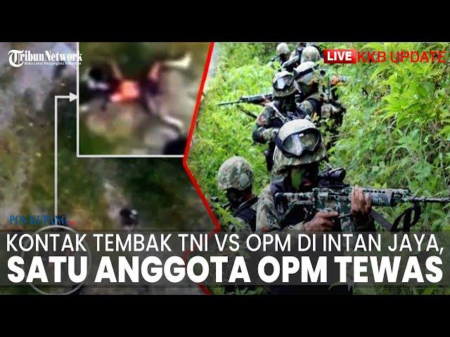 LIVE KKB: Kontak Tembak TNI vs KKB Papua di Intan Jaya, Satu Anggota KKB Tewas Diserang Anggota TNI