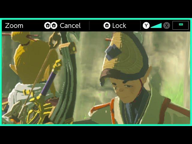 Breath of the Wild - Most evil thing I've ever done in a video game