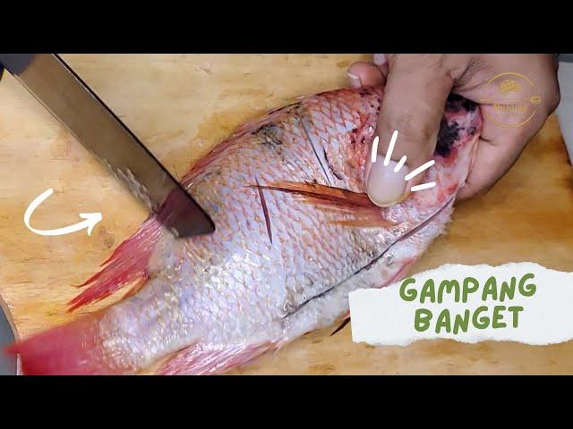 Cara Memfillet Ikan|| Tutorial Memfillet Ikan Nila