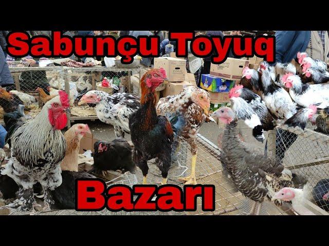 Sabunçu Toyuq Bazarı 31.10.2021