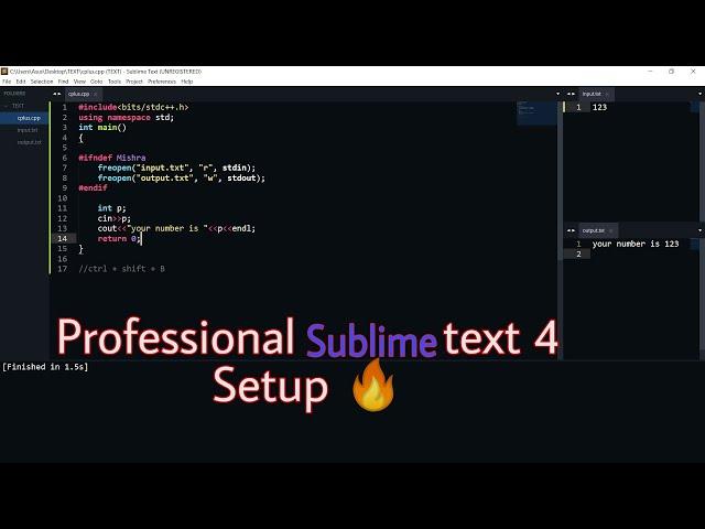 How To Setup Sublime text 4 for competitive programming like a pro  || Change Sublime Text Theme 