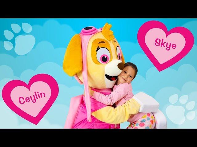 Ceylin & Skye - Head Shoulders Knees and Toes - Finger Family - Are You Sleeping Songs Learn Colors