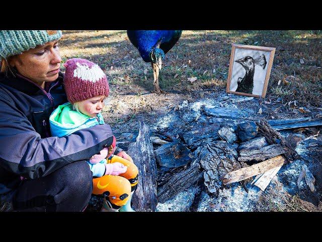 Our First Exotic Bird Died... What Happens Next for the Aviary?