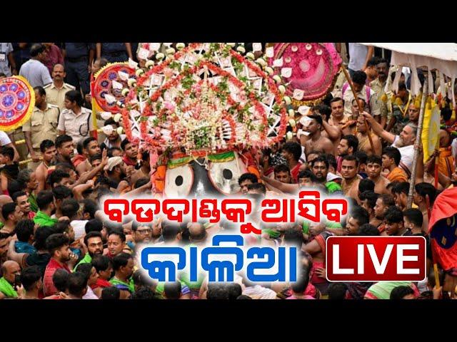  AD FREE LIVE | ବଡଦାଣ୍ଡକୁ ଆସିବ କାଳିଆ | Bahuda Yatra | Lord Jagannath |  Kanak News