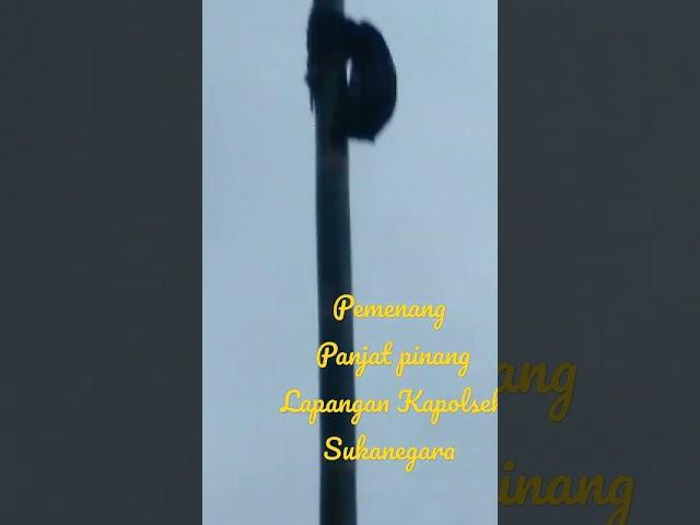 pemenang #lomba #panjat #pinang #lapangan #Polsek #Sukanegar #shorts