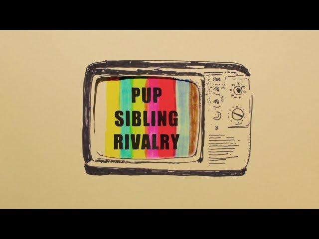 PUP - SIBLING RIVALRY (Official Music Video)