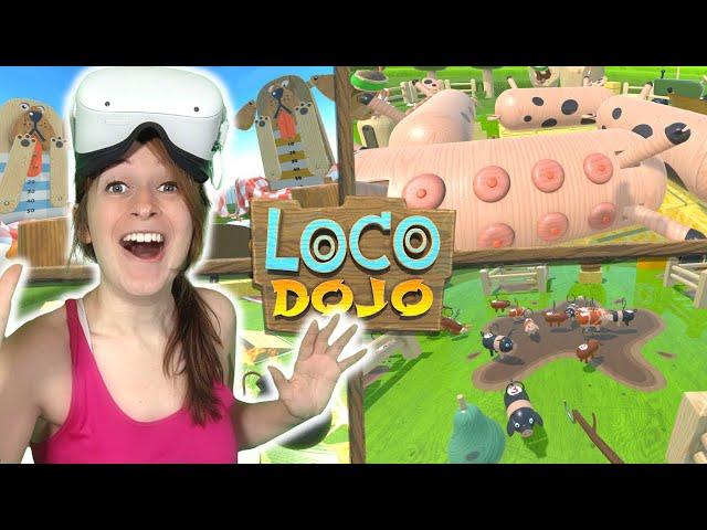 This Game is WILD - Loco Dojo VR on Quest 2