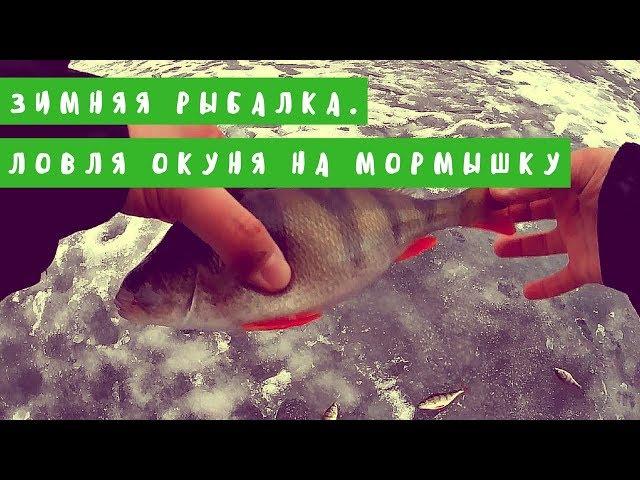 WhiteRiverUfa. Зимняя рыбалка. Ловля окуня на мормышку. Новогодняя рыбалка