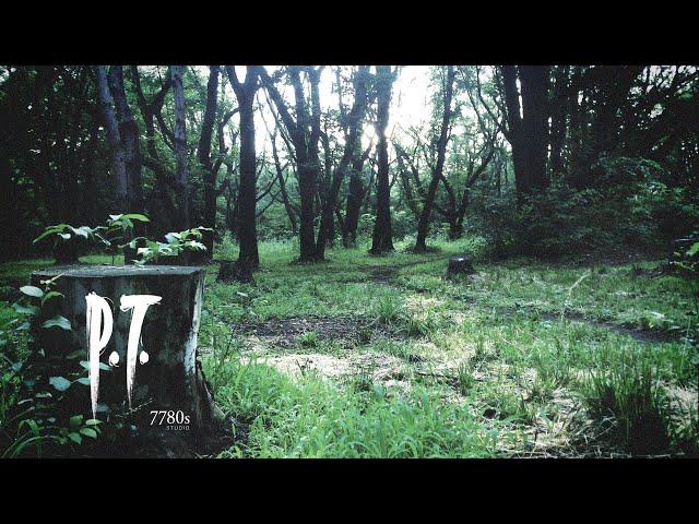 P.T. ｜ Silent Hills (Playable Teaser) (Legendado) 【Longplay】