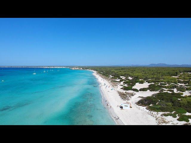 Es Trenc | Famous beach in Mallorca