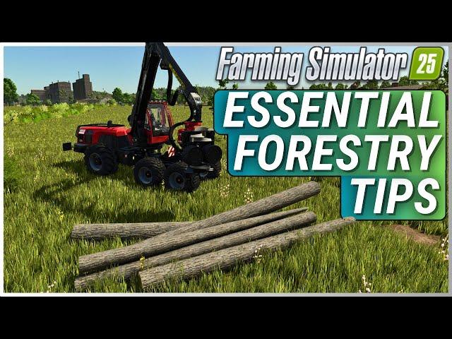 Top 5 Forestry Tips You NEED to Know - Farming Simulator 25 Guide