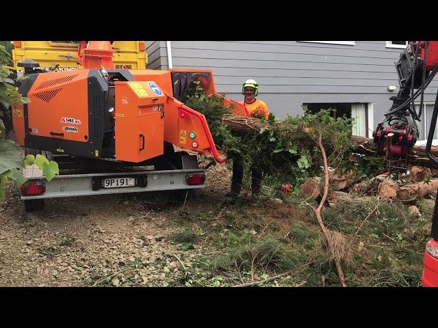 Jensen A141 XL, Alfa Contracts NZ Ltd, Tree King Auckland excavator feed