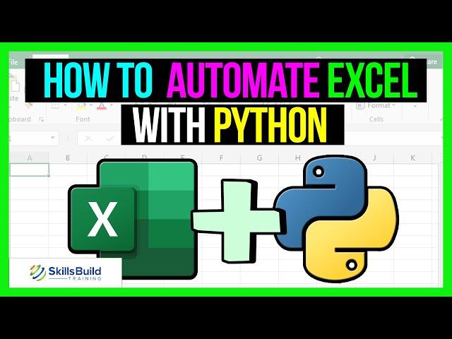  How To Automate Excel with Python Using OpenPyXL