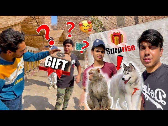 SW Pet House Wale Waleed Bhai Se Surprise Gift Mila  Ah Pets Vlog