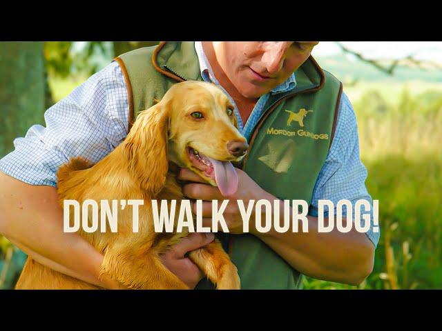 Don't Walk your Dog!