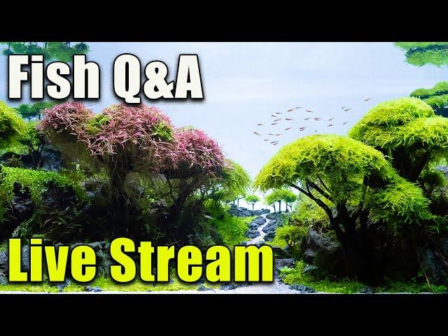 [LIVE]  A Mid-Summer Fish Q&A!