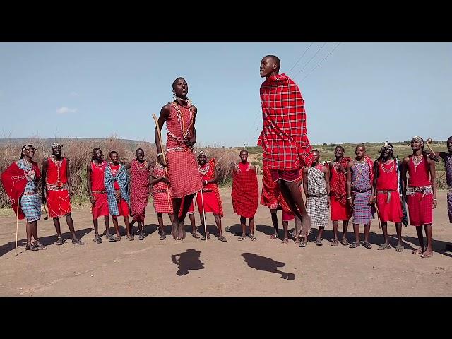 Maasai jumping contest