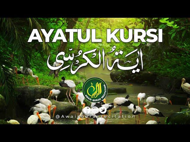 ayatul Kursi Awais Quran Recitation 's broadcast