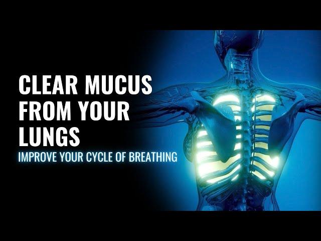 Clear Mucus from Your Lungs | Improve Your Cycle of Breathing | Get More Oxygen in Your Lungs-741Hz