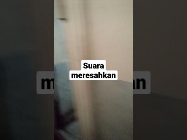 Suara meresahkan, mau ku gedor tapi... ah sudahlah :v