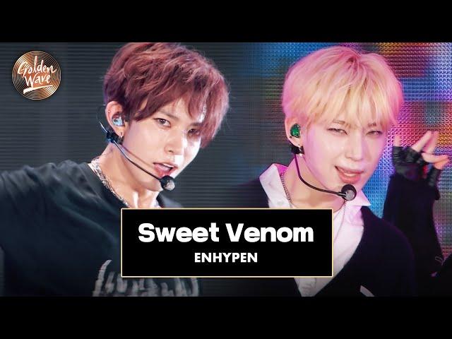 [골든 웨이브] ENHYPEN (엔하이픈) - 'Sweet Venom'  | JTBC 240504 방송