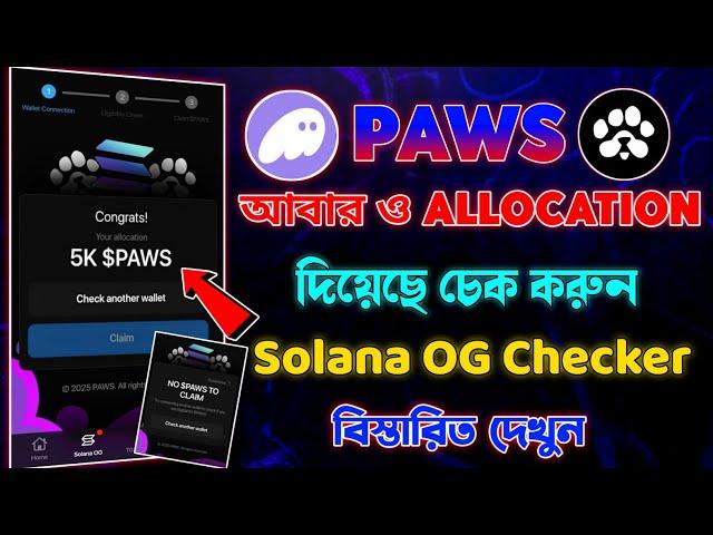 Paws Solana OG বোনাস টোকেন দিয়েছে চেক করুন | Paws Solana OG Checker | Paws New Update Today