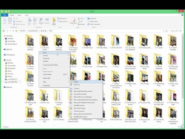 Picture File Organization