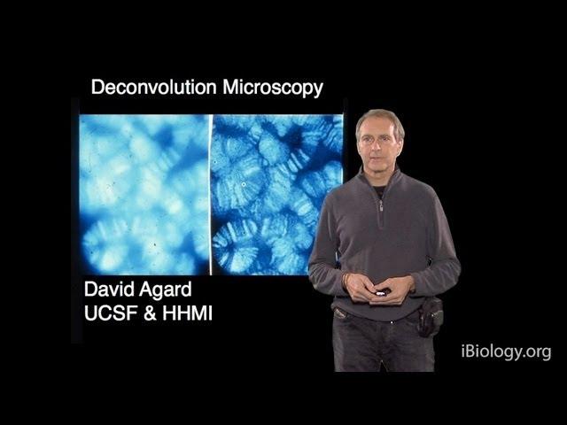 Microscopy: Deconvolution Microscopy (David Agard)