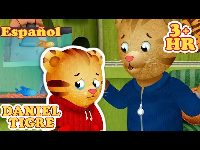 El pez de Daniel muere y más lecciones para niños | Daniel Tigre en Español