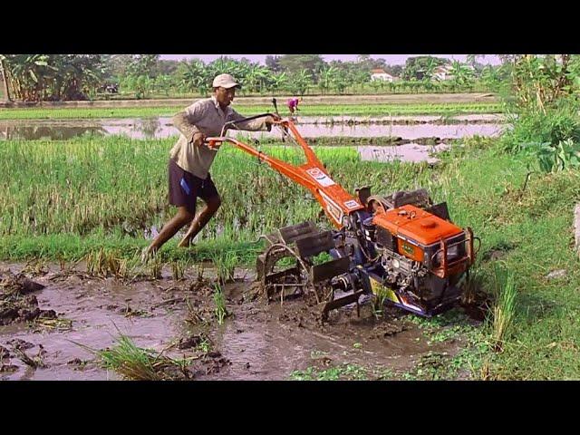 2 Joki Traktor Sawah Quick G1000 Dengan Mesin Yanmar Saling Bergantian Bekerja