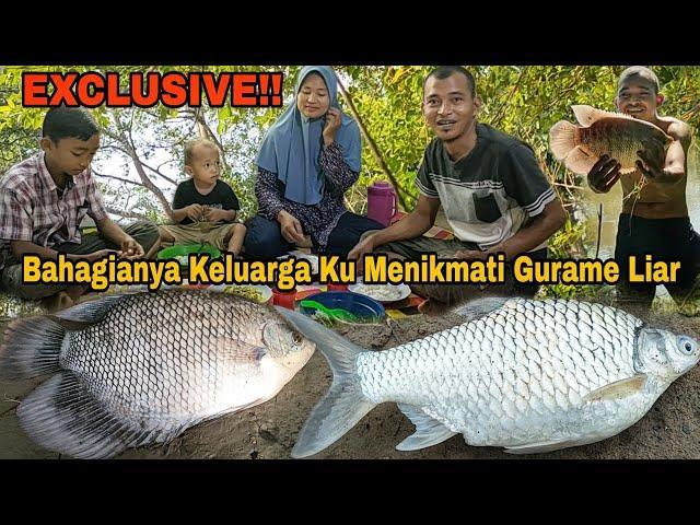 EXCLUSIVE!! lama tidak di pancing,ikan disini babon semua