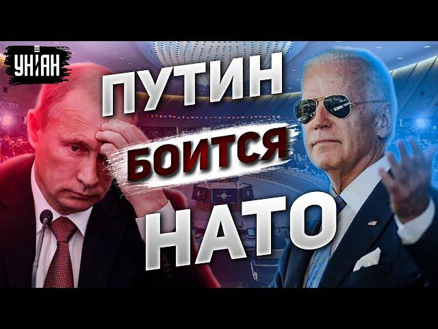 Путин боится НАТО. Трусливый диктатор не решится на войну с Альянсом