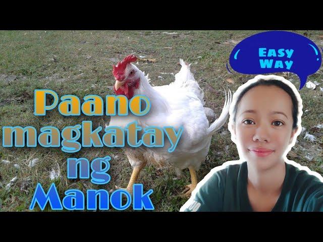 PAANO MAGKATAY NG MANOK ~Step by Step~