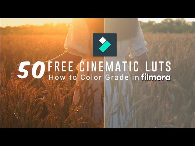 50 FREE Cinematic Luts for Filmora | How to Color Grading in Wondershare Filmora