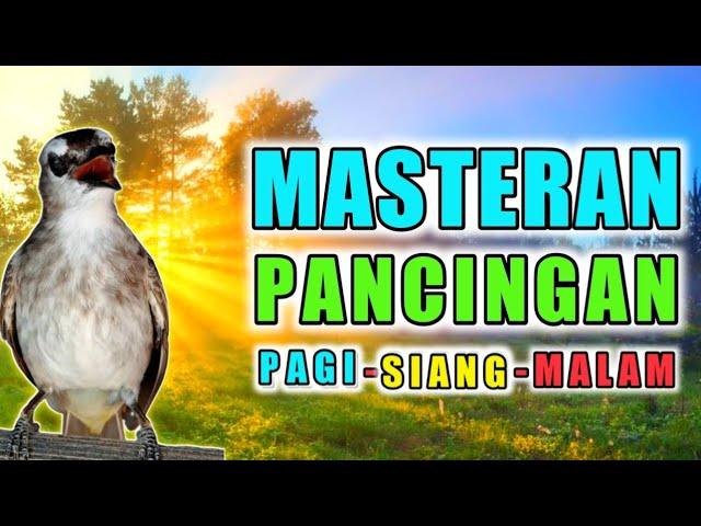 PANCINGAN DAN MASTERAN TRUCUK ROPEL BIAR TRUCUKAN BUNYI GACOR PAGI SIANG DAN MALAM