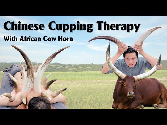 Chinese Cupping Therapy with African Cow Horn