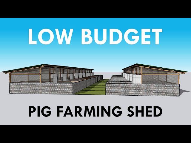 Swine Farming Shed Design | Pig Farm Shed for Best Production and Effective Management